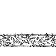 Elegant Hand-Drawn Vine Border, Black and White Illustration