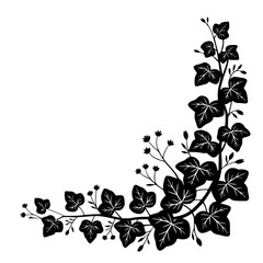 Black Ivy Corner: Minimalist Floral Design on White Background