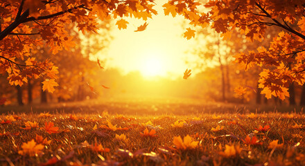 Autumn landscape, golden hour sunlight background