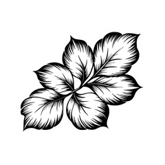 Obraz premium Elegant Leaf Branch Illustration, Black and White, Floral Design
