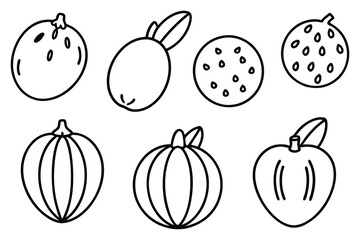 Wampee Fruit Styles Isolated Set