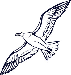 vector illustration of a flying bird