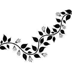 Elegant Black and White Floral Vine Illustration