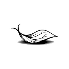 Elegant Minimalist Leaf Icon in Black & White