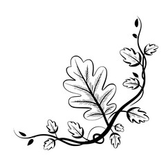 Elegant Oak Leaf Corner Design - Vector Illustration
