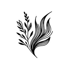 Elegant Black & White Botanical Line Art Illustration on White