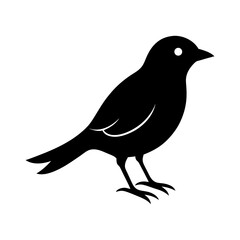 bird-vector-silhouette illustration