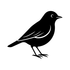 bird-vector-silhouette illustration