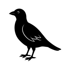 bird-vector-silhouette illustration