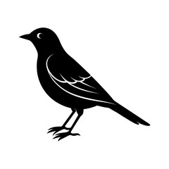 bird-vector-silhouette illustration