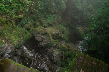 In the park, a rock sat surrounded by trees, their green leaves turning gold as fall arrived, creating a stunning landscape that celebrated the beauty of nature in the forest.