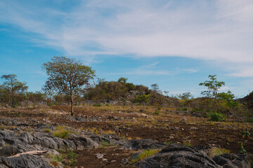 The mountain rose high into the sky, its rocky ground meeting soft clouds, creating a stunning landscape that inspired awe and a deep love for nature and travel.