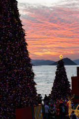 Seaside Christmas Trees at Sunset with Mountain Silhouette