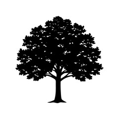 Fototapeta premium oak-tree-vector-silhouette illustration