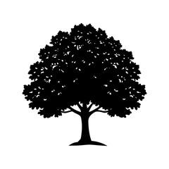 Fototapeta premium oak-tree-vector-silhouette illustration