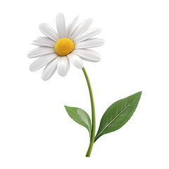 White daisy flower with green stem and leaves on a multicolored striped background