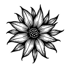 Black & White Sunflower Vector Illustration: Floral Design, Linework Art