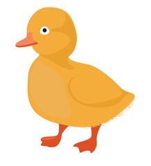 baby duck. farm animal cartoon design of yellow duck,
