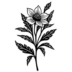 Black & White Floral Illustration: Detailed Botanical Drawing