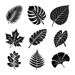 This botanical set features 9 elegant vector illustrations of popular leaves including ginkgo, monstera, banana leaf, palm, oak, and others. Designed in a clean, modern style.