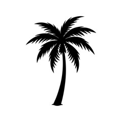 palm-vector-silhouette illustration