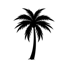 Fototapeta premium palm-vector-silhouette illustration