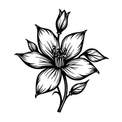 Elegant Floral Line Art: Black & White Flower Illustration