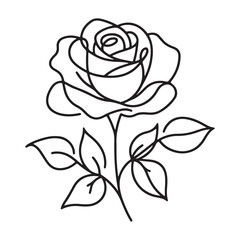 Elegant Rose Flower Continuous Line Art Vector Drawing Design