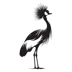 Striking Grey Crowned Crane Silhouette Illustration Bird Image