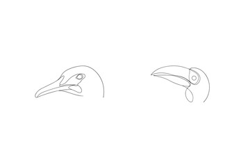 Minimalist Bird Heads Continuous Line Art Graphic Illustration On A White Background