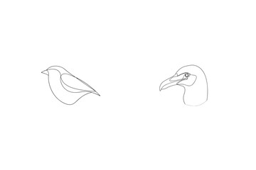 Elegant Bird Outline Illustration Minimalist Line Art Drawing With Various Birds