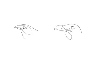 Two Bird Head Contour Drawings Minimalist Wildlife Vector Illustration Graphic