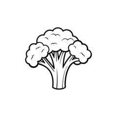 Broccoli icon vector line art on a white background