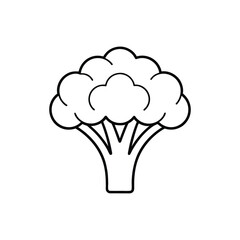 Broccoli icon vector line art on a white background