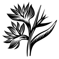 Black and White Stylized Floral Design - Vector Illustration