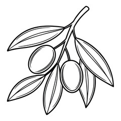 Line drawing of a small cluster of olives, Food vector, olive vector art and illustration on a white background
