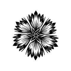 Fototapeta premium Black and White Flower Vector Illustration