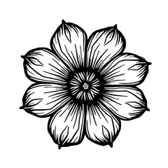 Hand-Drawn Black and White Floral Illustration