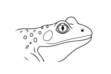 Simple line art illustration of a spotted frog head in profile with detailed eye
