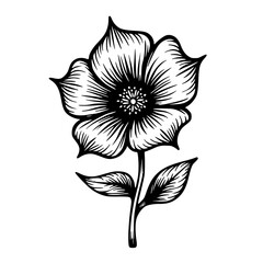 Engraved Floral Illustration: Black and White Flower with Detailed Linework