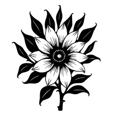 Elegant Black and White Floral Illustration: Botanical Art