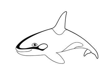 Orca whale outline illustration cute cartoon killer whale vector drawing isolated on white background © Joy