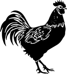 rooster isolated on white background © Adam