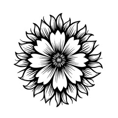 Black & White Floral Mandala, Vector Illustration, Elegant Design