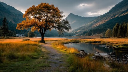 Obraz premium Walking Path Leads to a Golden Tree by Calm Lake in a Mountain Valley