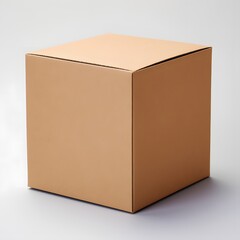 Closed plain cardboard box on white background for packaging and shipping