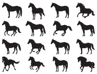 HORSE SILHOUETTE WHITE BACKGROUND