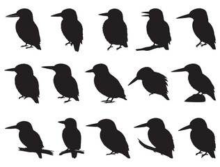 KINGFISHER BIRDS SILHOUETTE