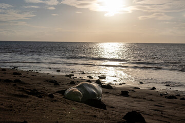 Obraz premium The Galapagos Islands are a volcanic archipelago in Ecuador, the first to be designated a World Natural Heritage Site. They are known as the loneliest and most beautiful archipelago in the world
