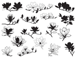 MAGNOLIA FLOWERS SILHOUETTE